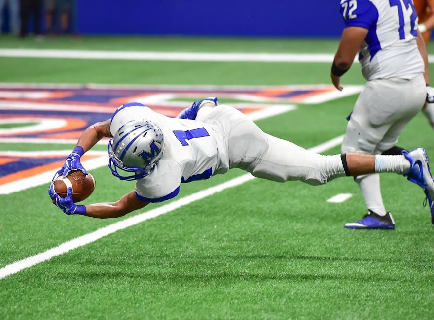 Analyzing Common Defensive Schemes and Their Purposes