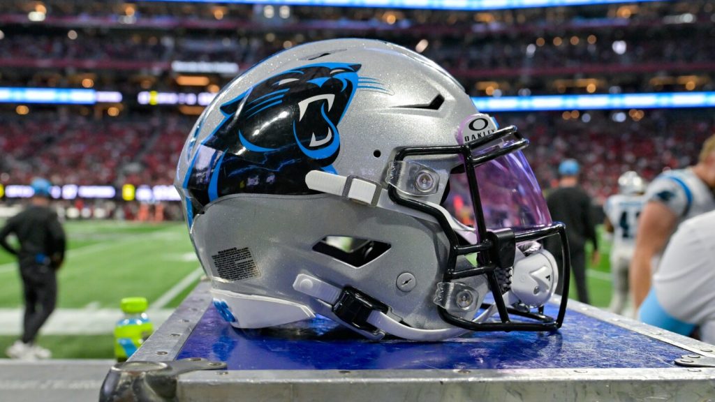 Panthers sign WR Ja'Seem Reed, release WR Dan Chisena