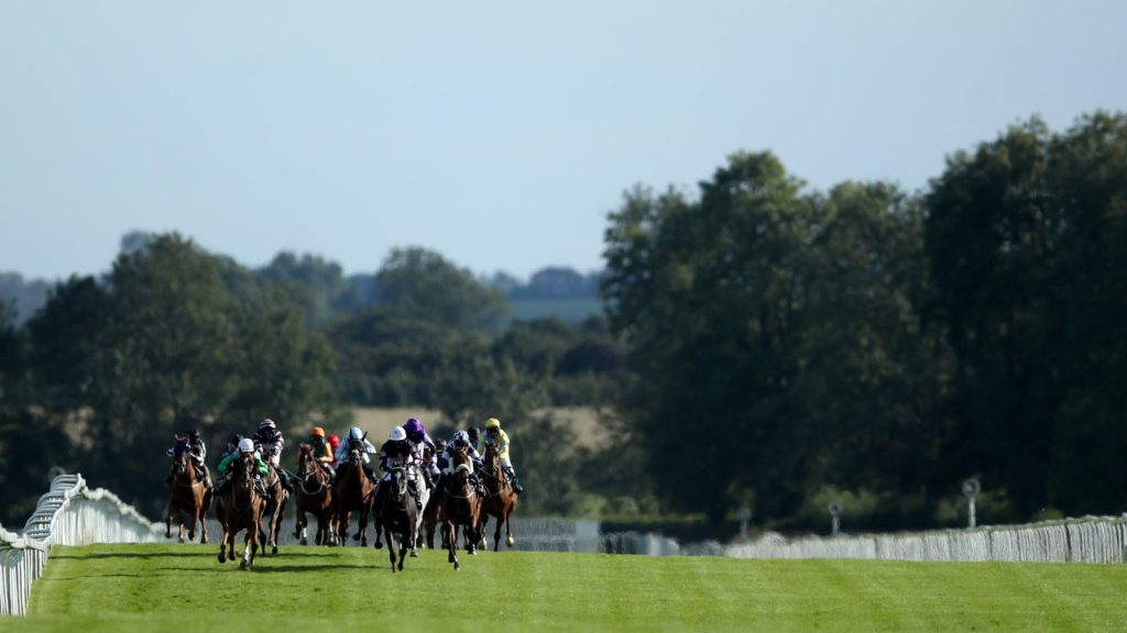 Racing at Ripon