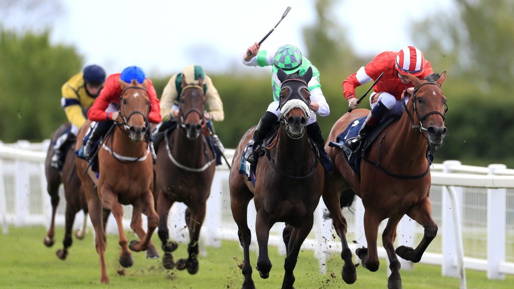 Today on Sky Sports Racing: Lingfield and Ripon host flat action | Racing News Today's live racing comes from Ripon