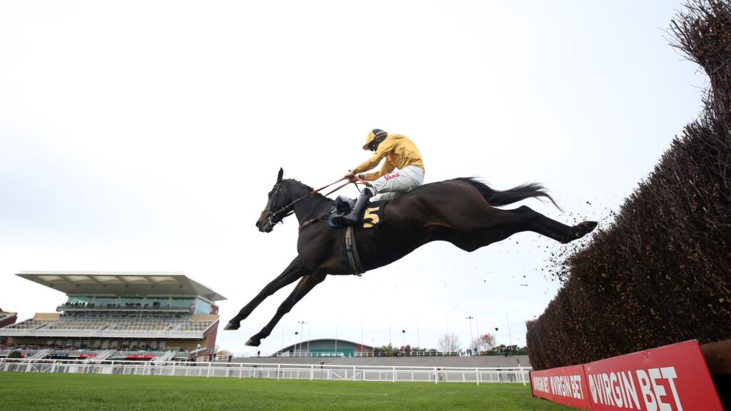 Imperial Saint is Declan's selection