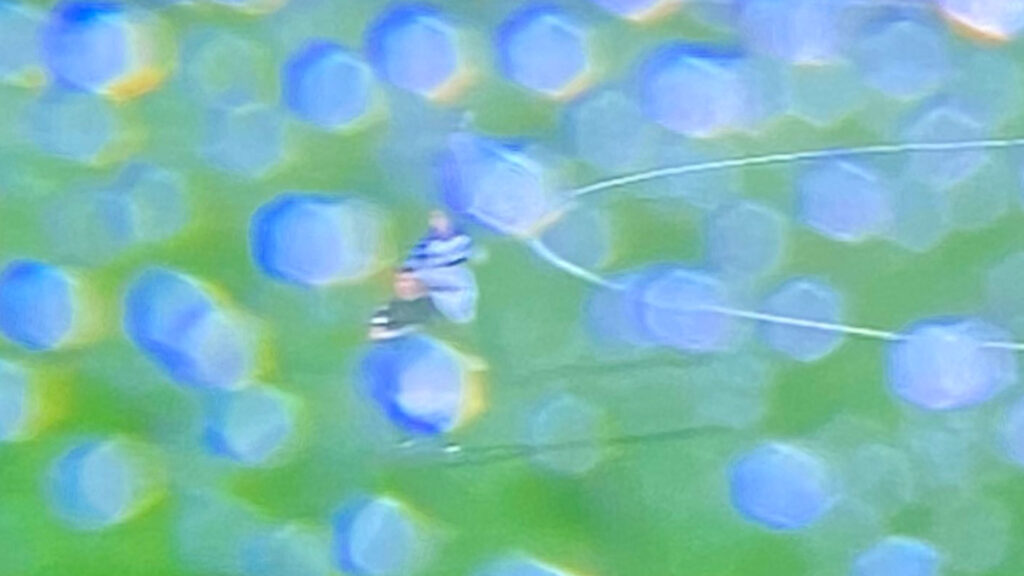 Sky Sports leaves footie fans raging as viewers find themselves barely able to watch top flight clash Sky Sports leaves footie fans raging as viewers find themselves barely able to watch top flight clash