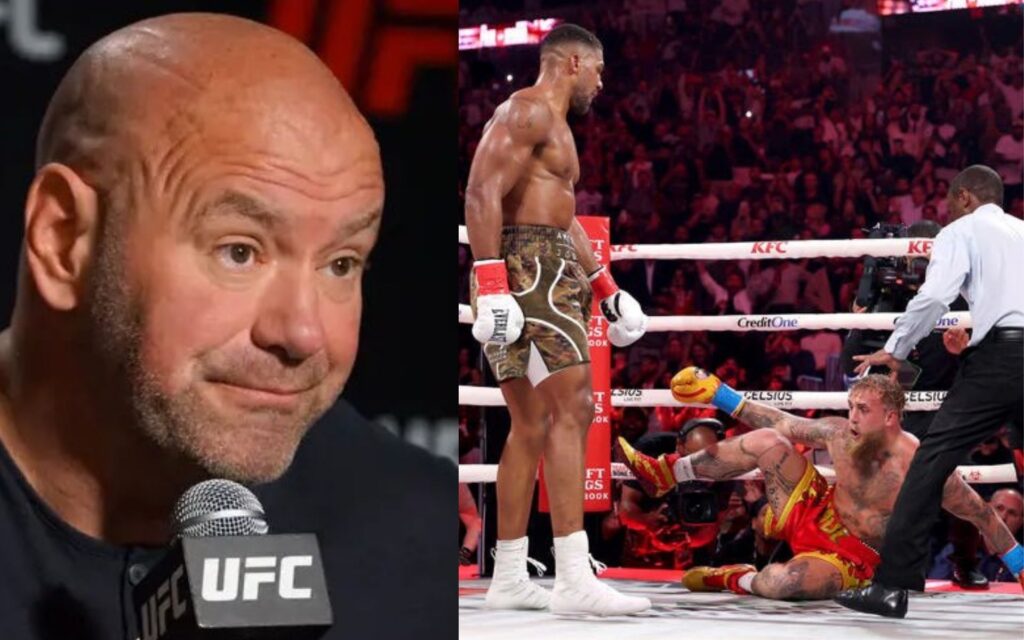 Dana White