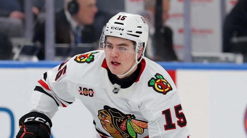 Chicago Blackhawks NHL rookie Anton Frondell.