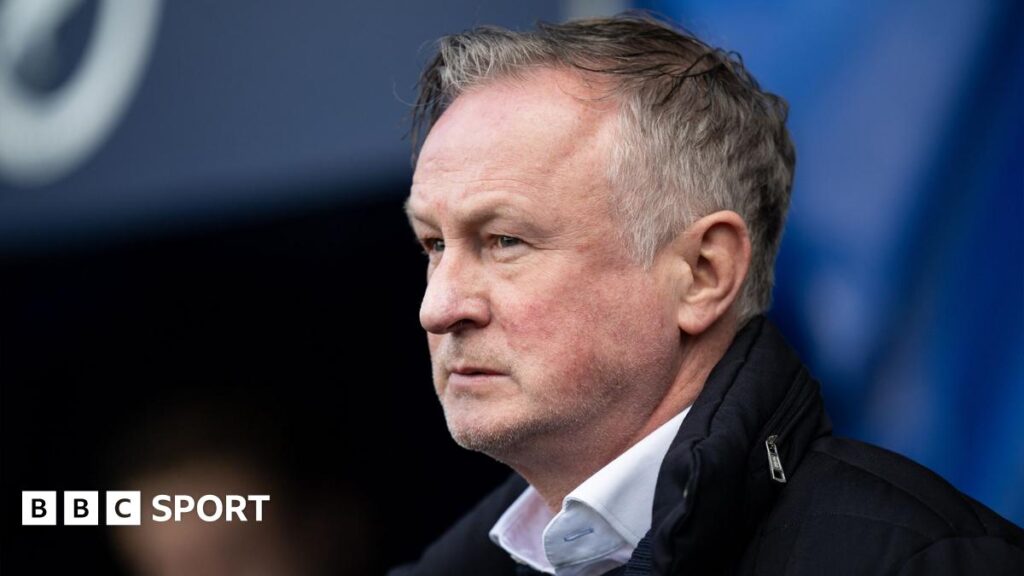 Northern Ireland manager Michael O'Neill