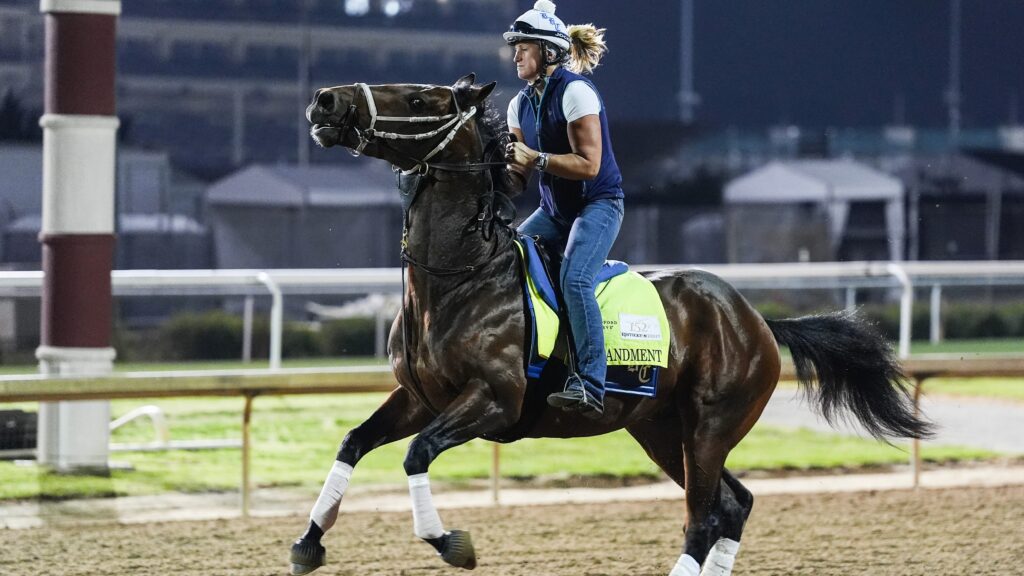 Kentucky Derby Commandment horse racing