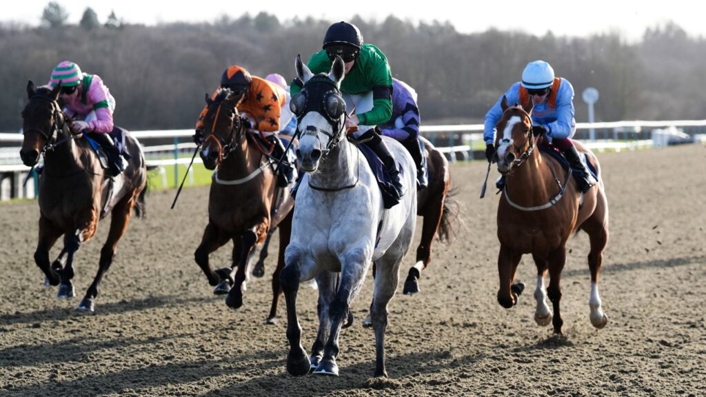 Lingfield hosts action on the all-weather today