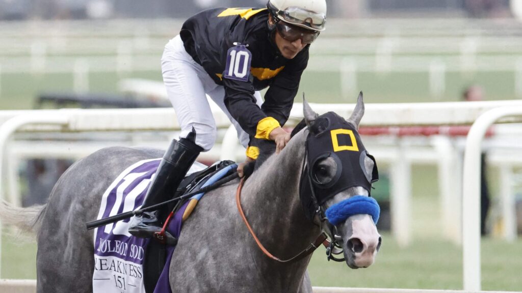 Napoleon Solo to Skip Showdown With Golden Tempo Napoleon Solo horse racing